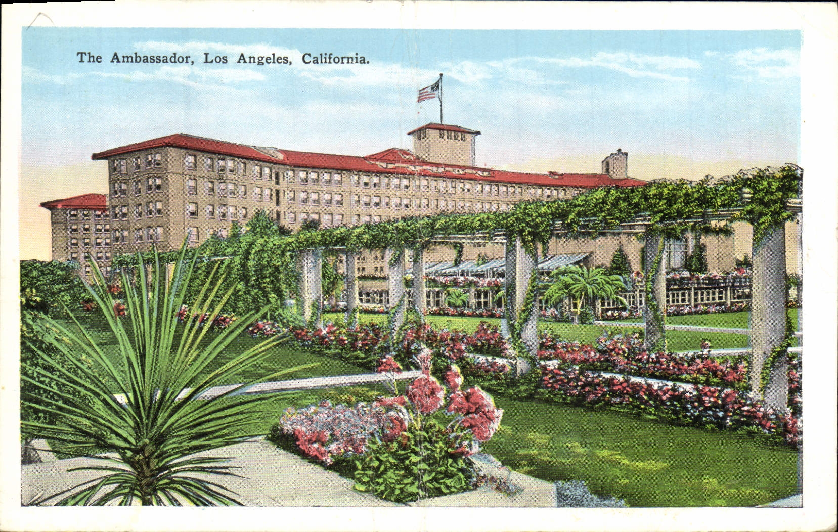 CPA The Ambassador Los Angeles Cal