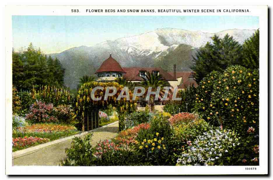 CPA Flower Beds And Show Banks Beautiful Winter Scene In California