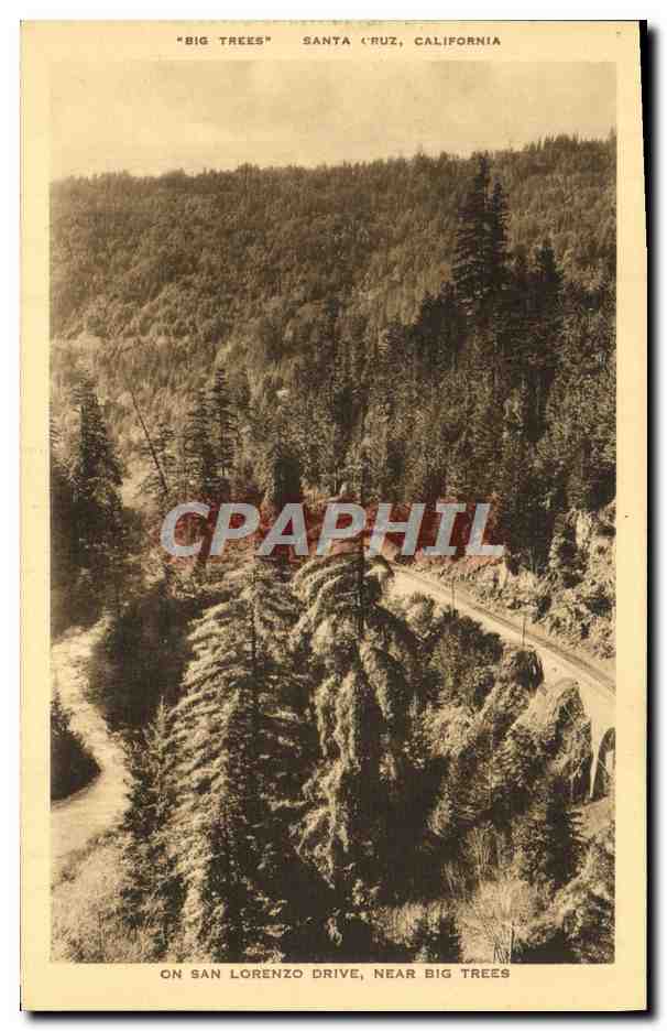 CPA Santa Cruz California On San Lorenzo Drive Near Big Trees