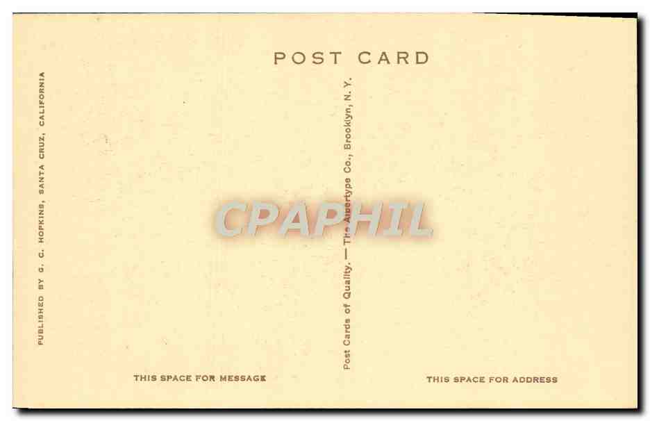 CPA Santa Cruz California On San Lorenzo Drive Near Big Trees — Back