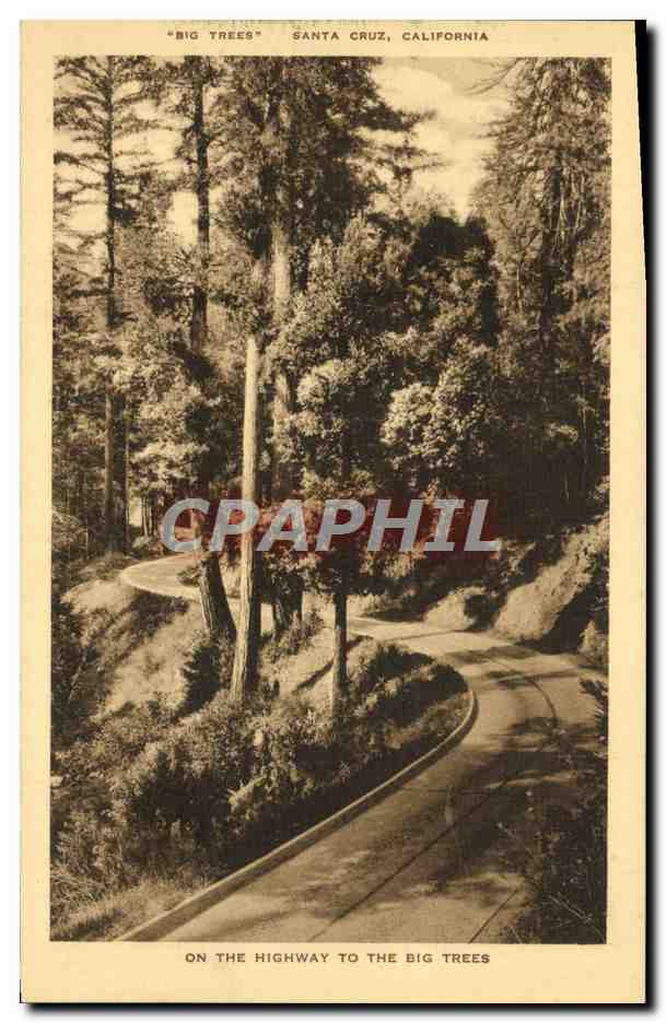CPA Santa Cruz California On The Highway To The Big Trees