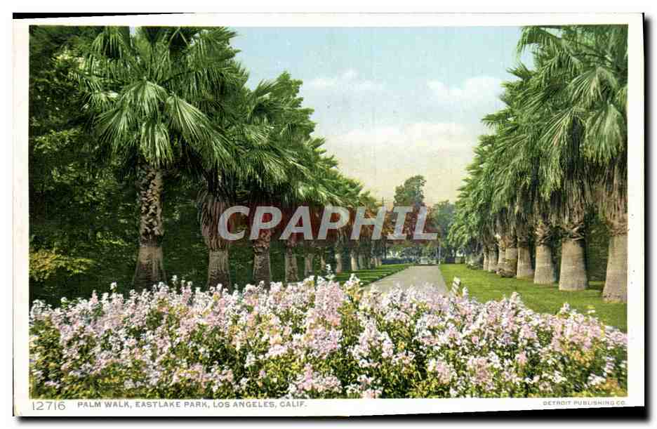 CPA Palm Walk Eastlake Park Los Angeles Calif