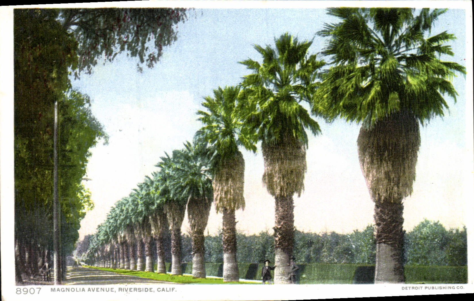 CPA Magnolia Avenue Riverside Calif