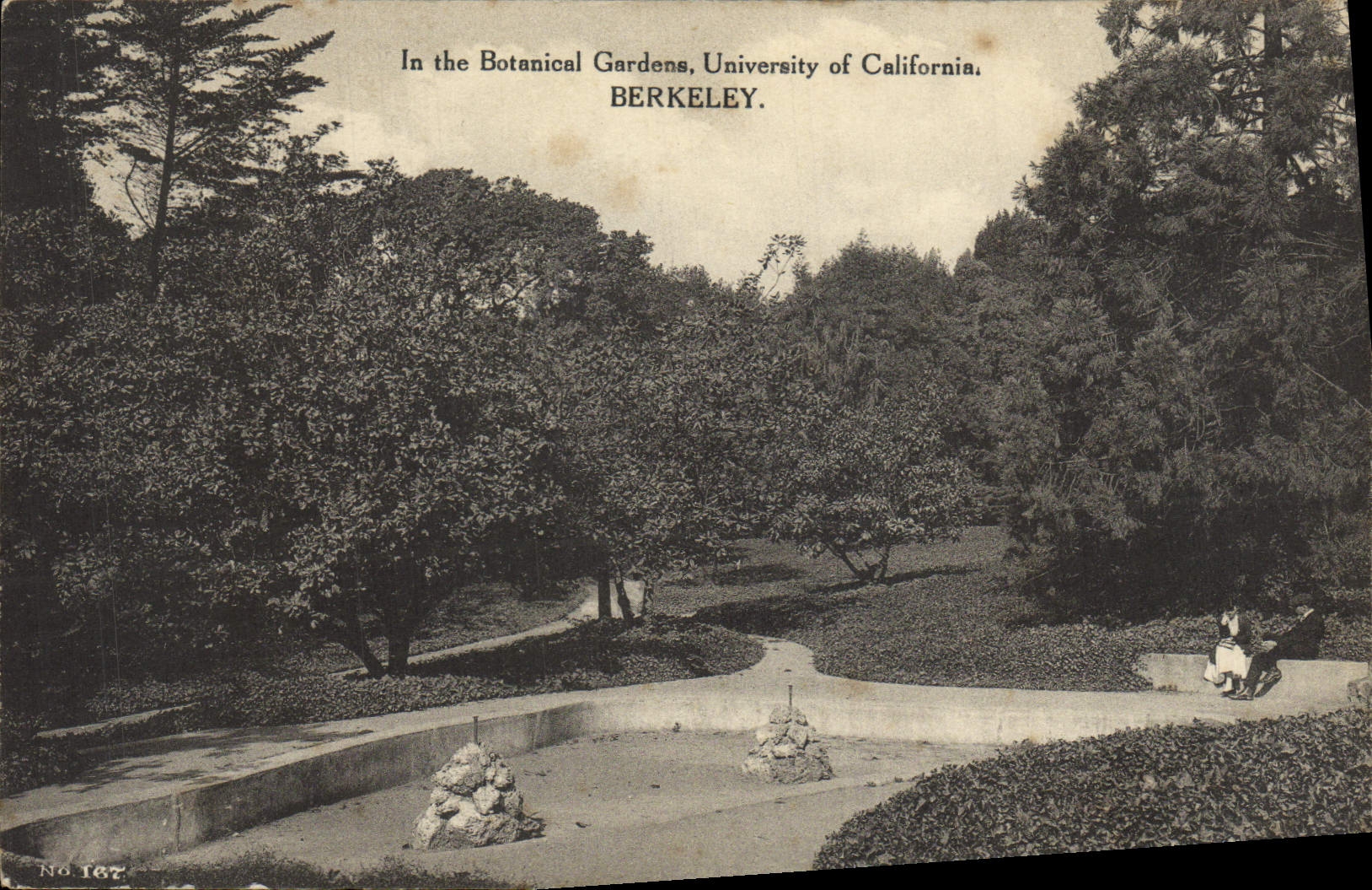 CPA In the Botanical Gardens University Of California Berkeley