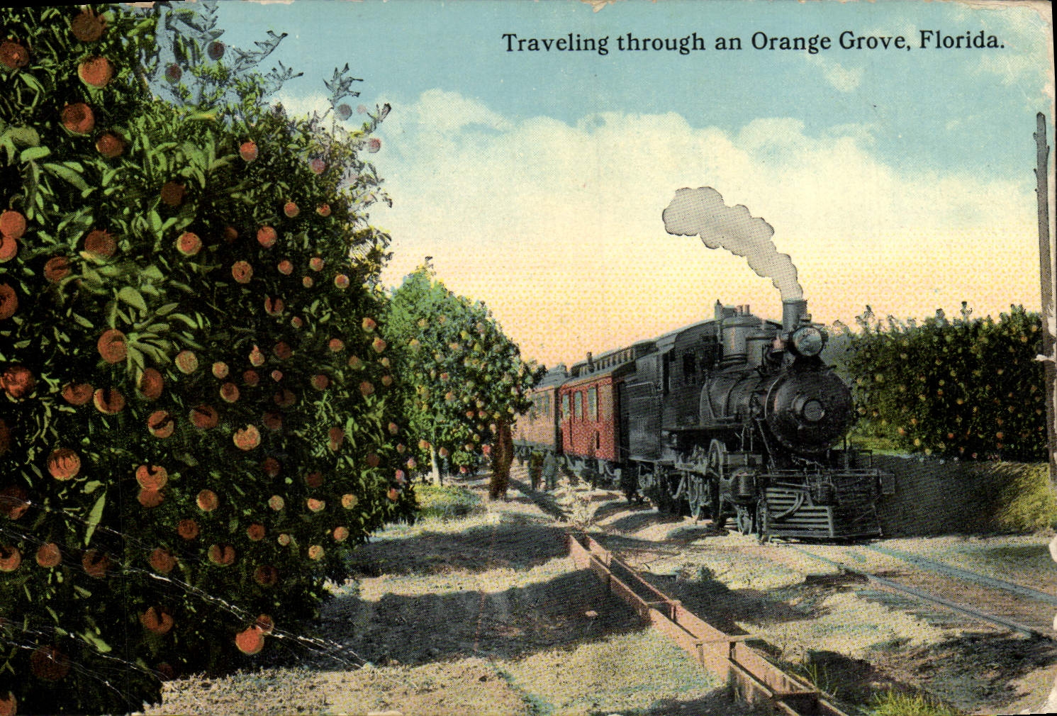 CPA Traveling Through An Orange Grove Florida Train 