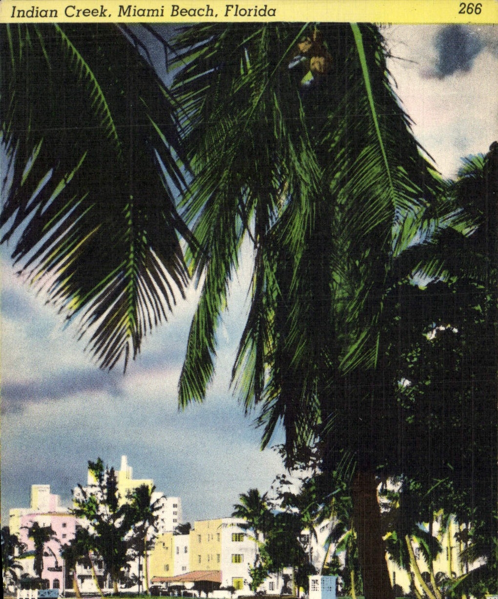 CPA Indian Creek Miami Beach Florida