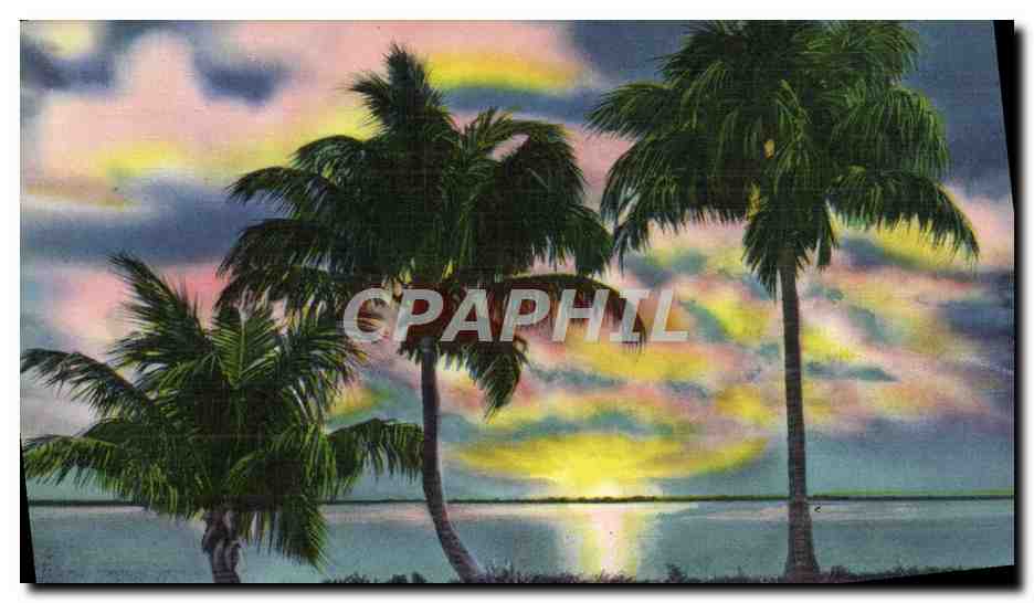 CPA Greater Miami With More Than Modern Hotels With Its Miles Of Palm Fringed