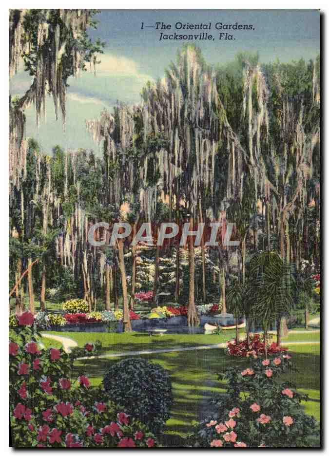 CPA The Oriental Gardens Jacksonville Fla