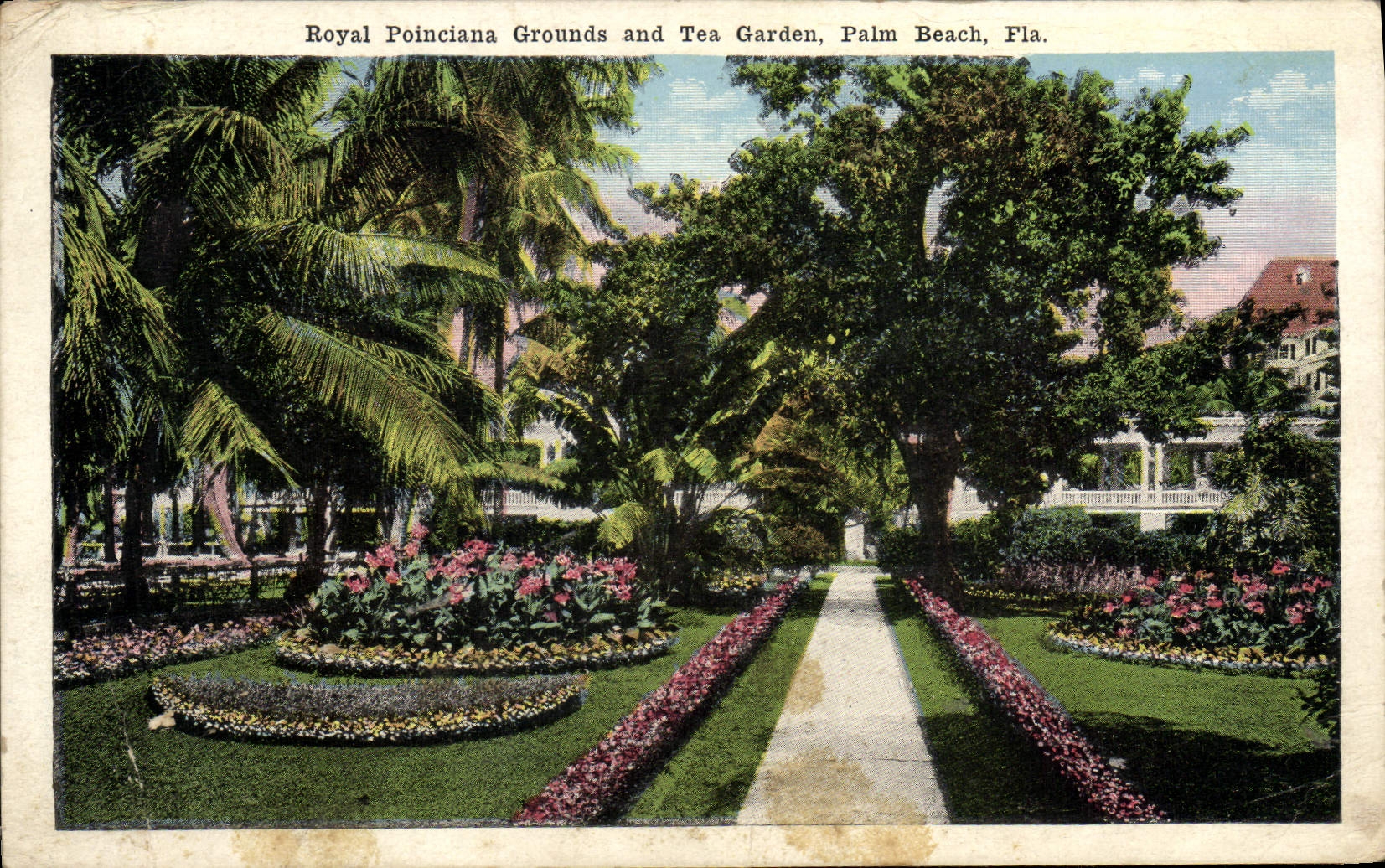 CPA Royal Poinciana Grounds And Tea Garden Palm Beach Fla