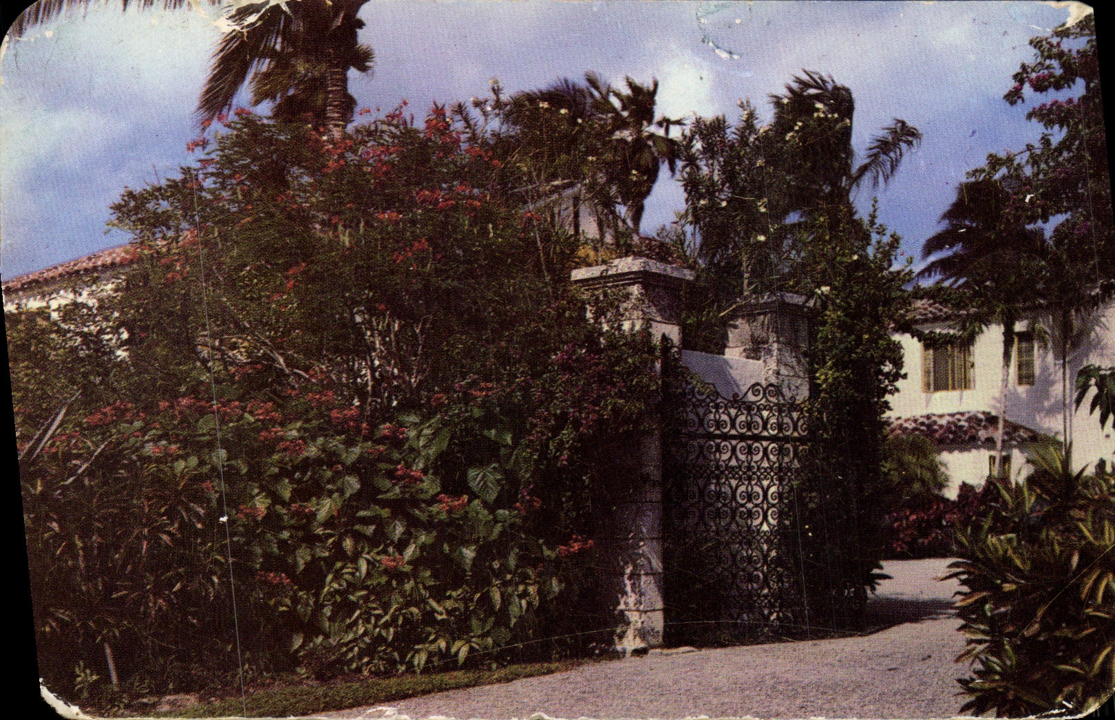 CPA On Pine Tree Drive Miami Beach Fla Koduchrome By Hannau