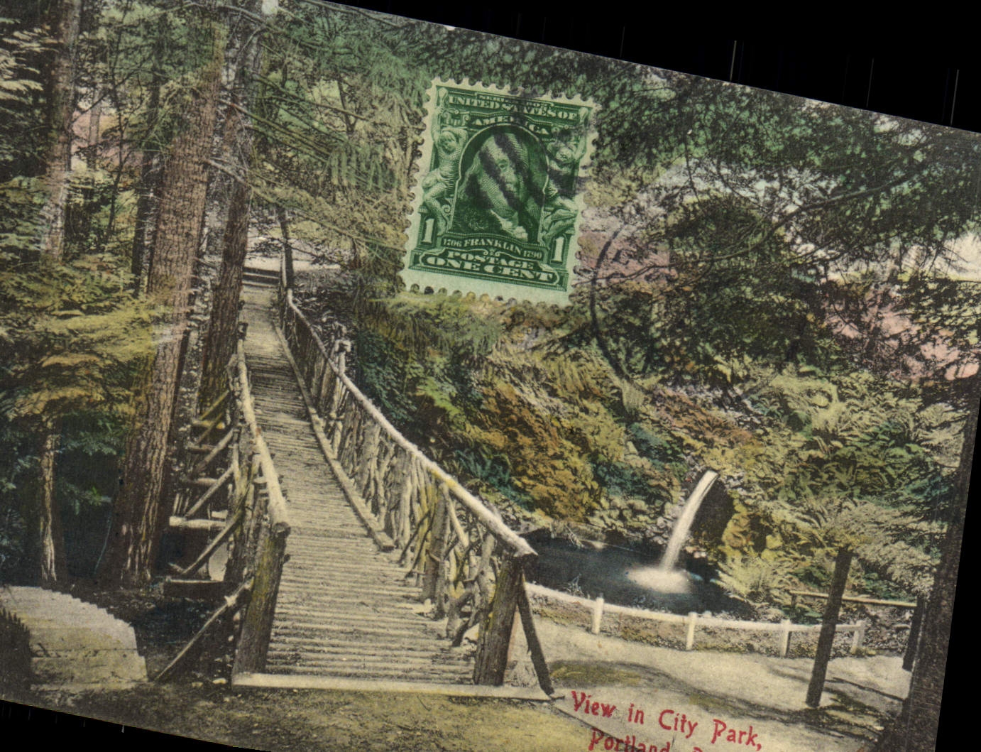 CPA View In City Park Portland