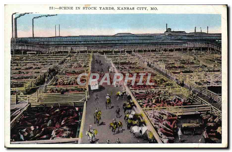 CPA Scene In Stock Yards Kansas City Mo
