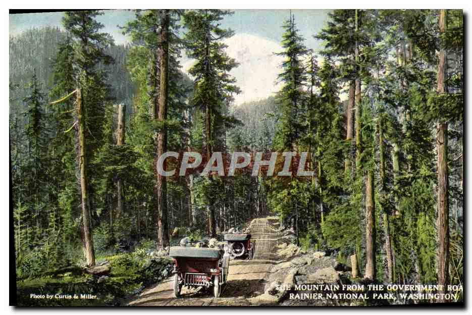 CPA The Mountain From the Government Road Rainier National Park Washington