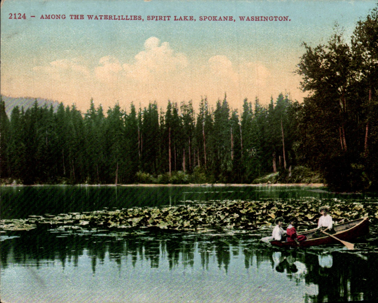 CPA Among The Waterlillies Spirit Lake Spokane Washigton