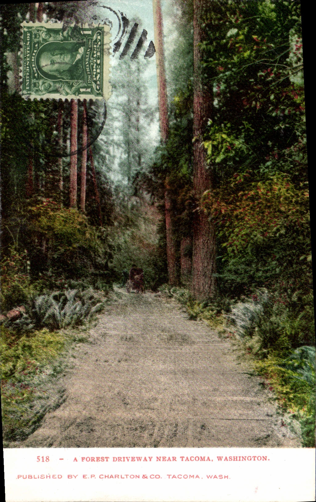 CPA A Forest Driveway Near Tacoma Washington