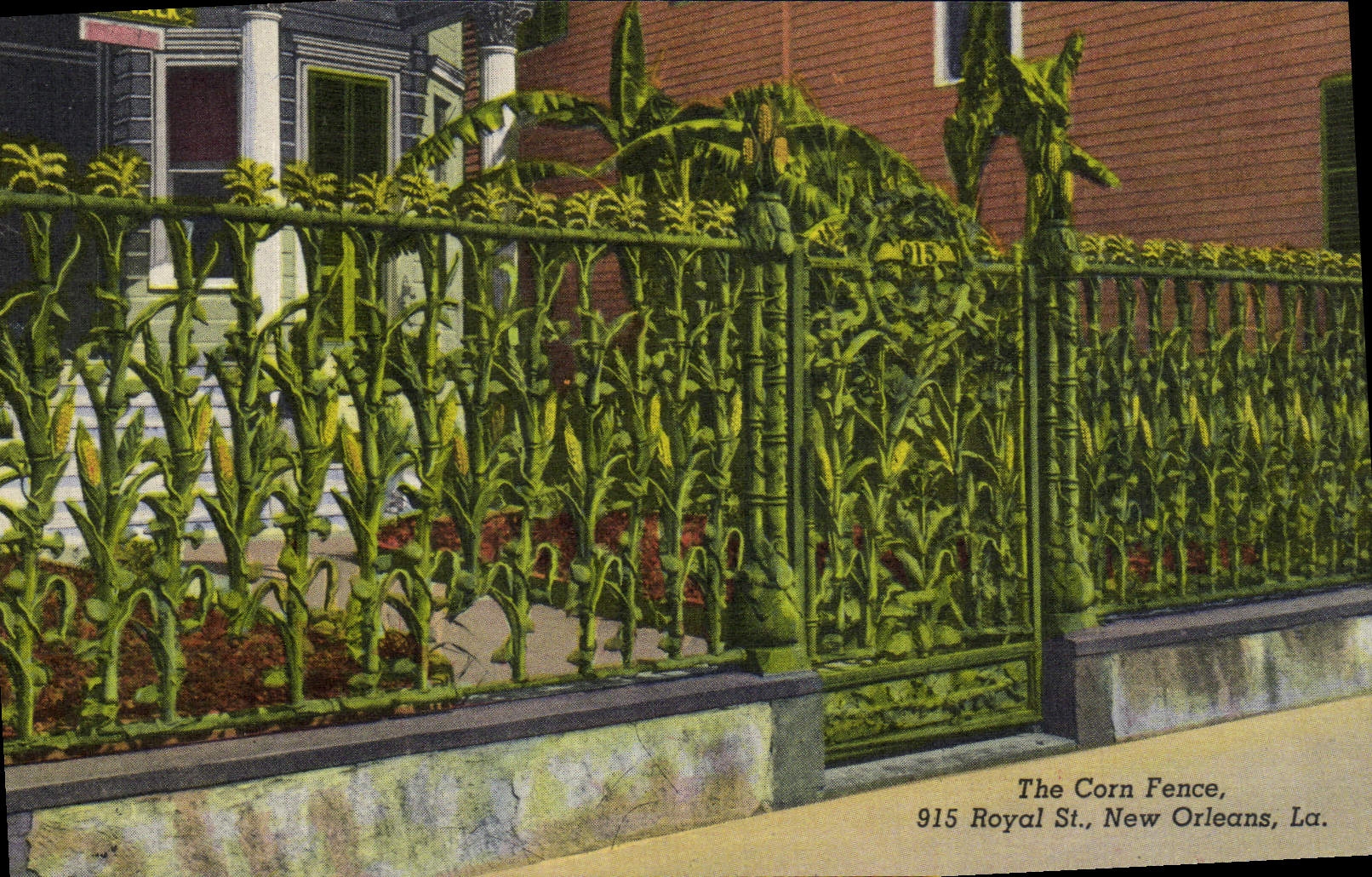 CPA The Corn Fence Royal New Orleans 