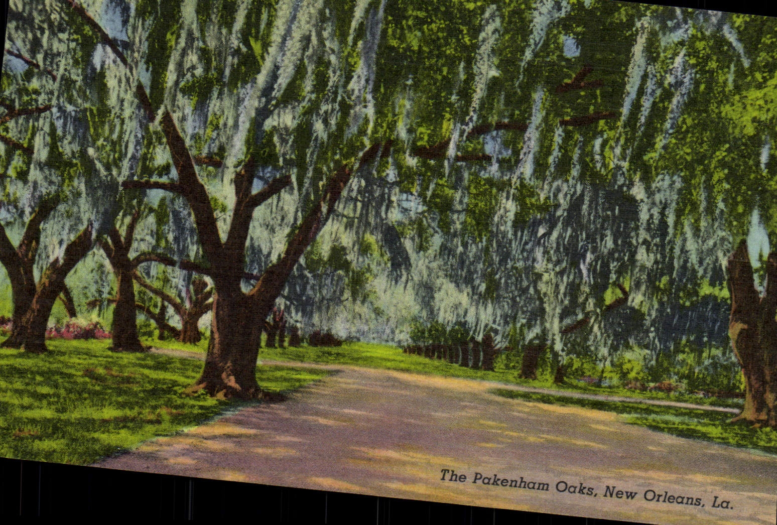 CPA The Pakenham Ocks New Orleans 