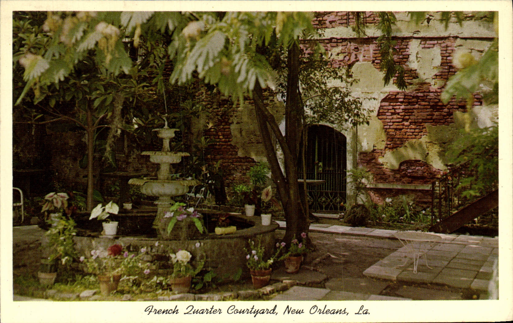 CPA French quarter Courtyard New Orleans