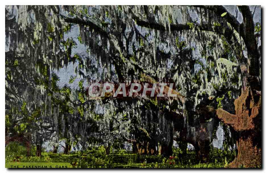 CPA The pakenham's oaks New Orleans