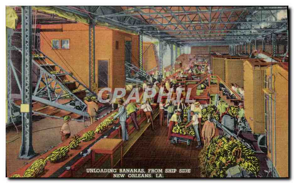CPA Unloading Bananas From Ship Side New Orleans