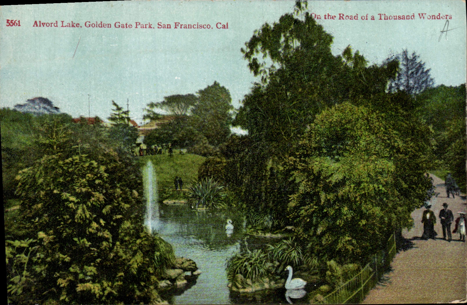 CPA Alvord Lake Golden Gate Park San Francisco