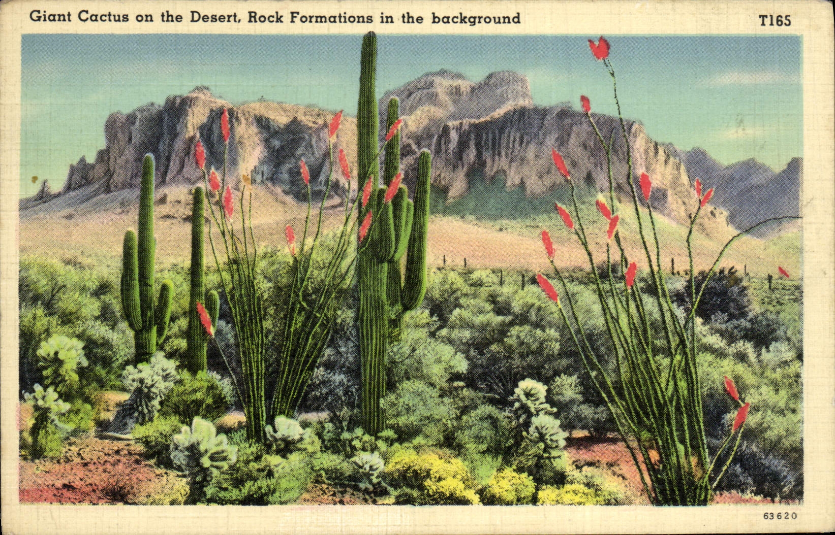 CPA Giant Cactus on the Desert Rock Formations in the Background