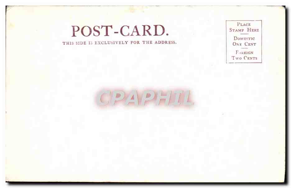 CPA Colorado Springs  — Back