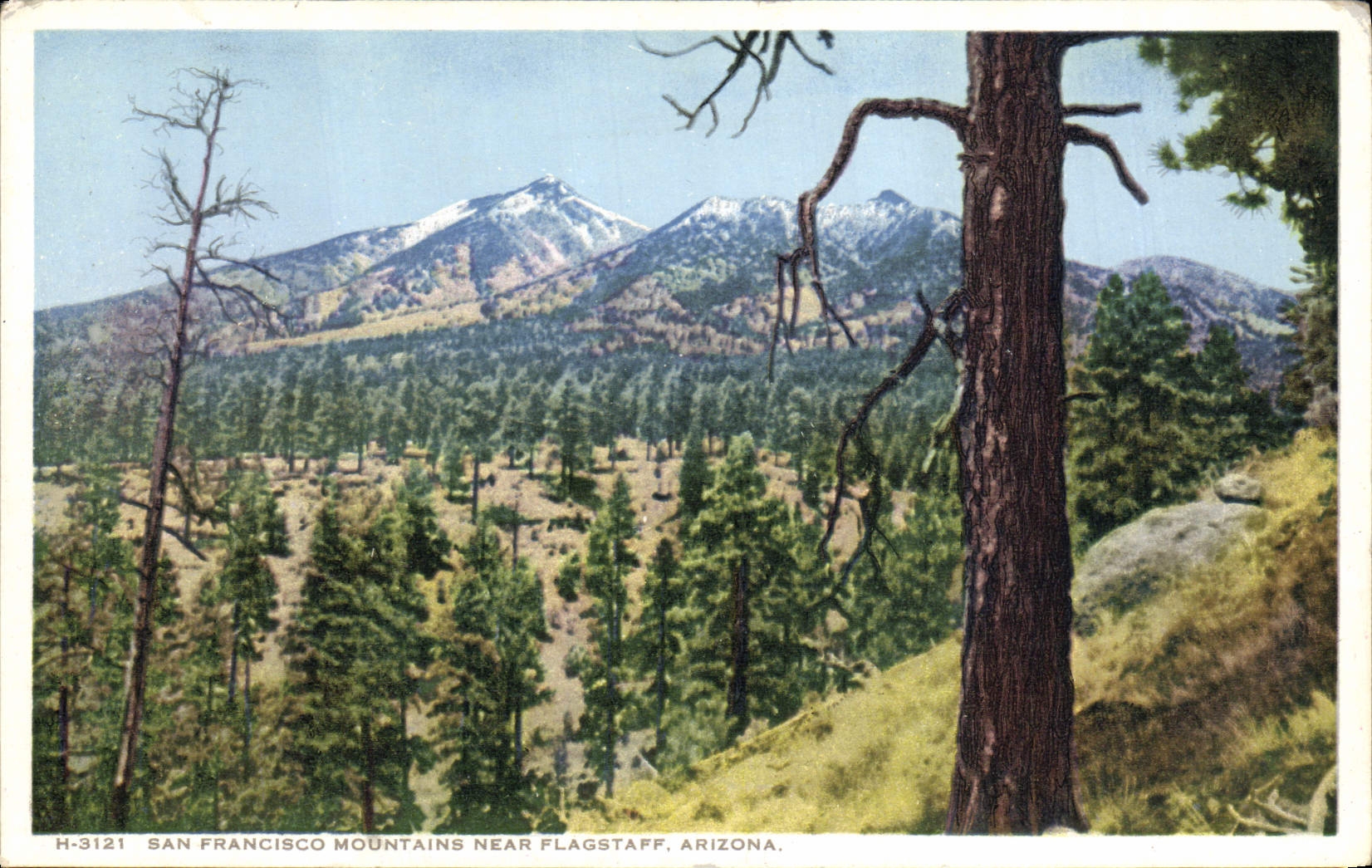 CPA Arizona San Francisco Mountains Near Flagstaff