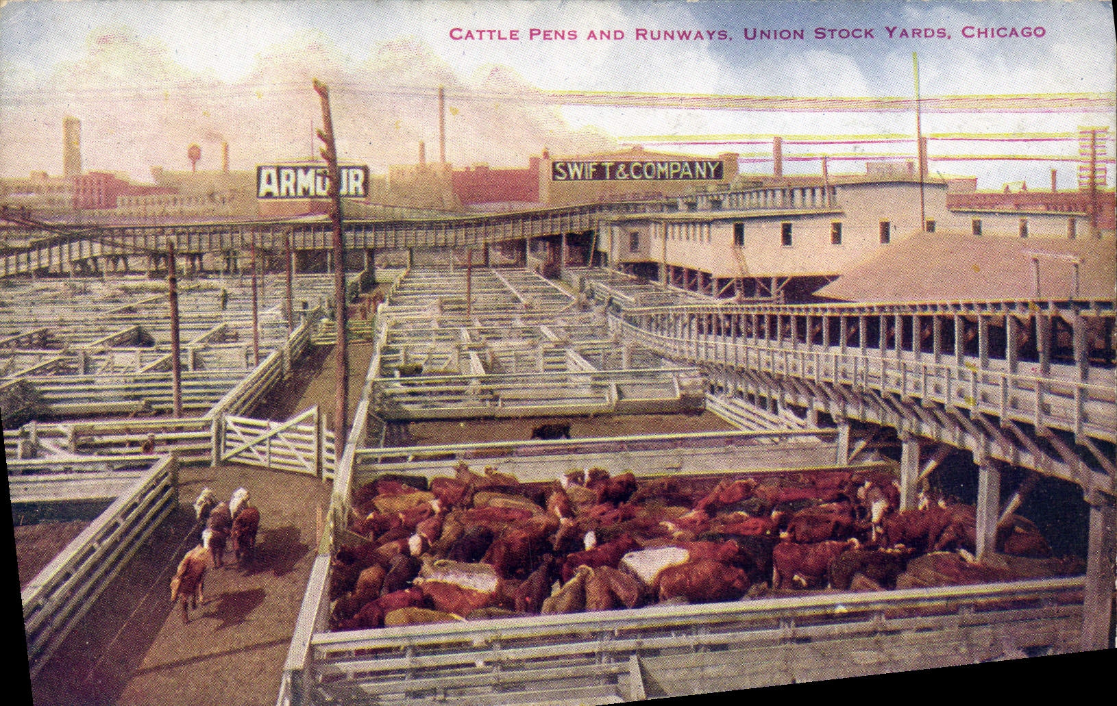 CPA Chicago Cattle Pens and Runways Union Stock Yards Vaches Betail