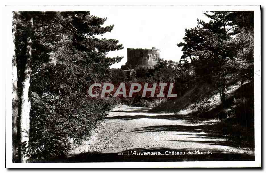 CPA L'Auvergne Chateau de Murois