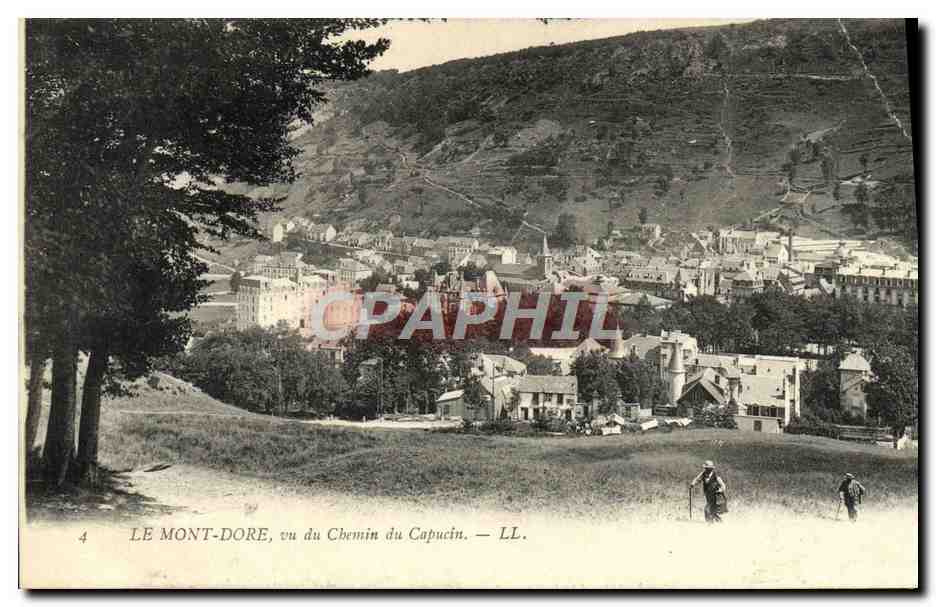 CPA Le Mont Dore vu du Chemin du Capucin
