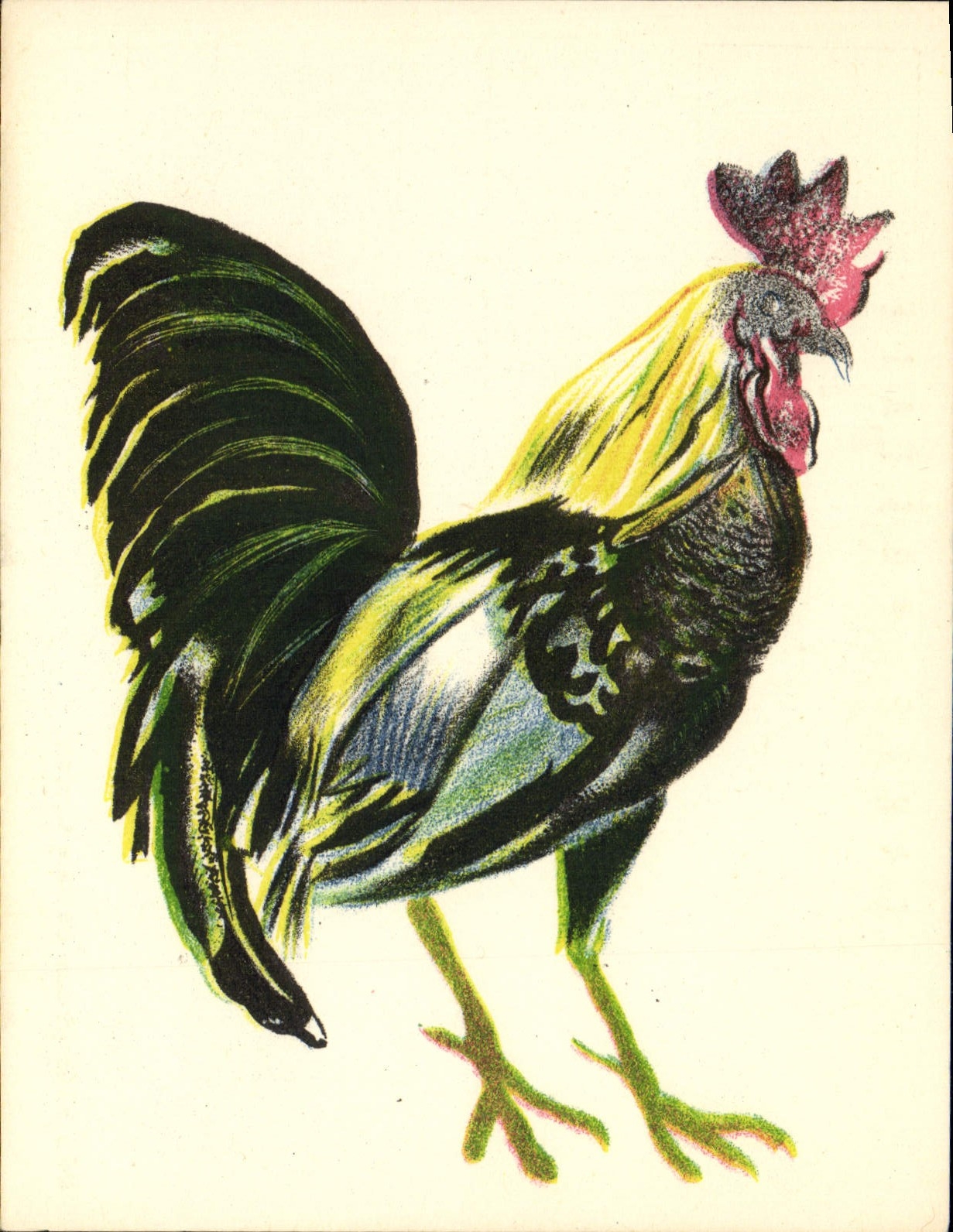 CPA Mes Amis Album du Pere Castor Coq