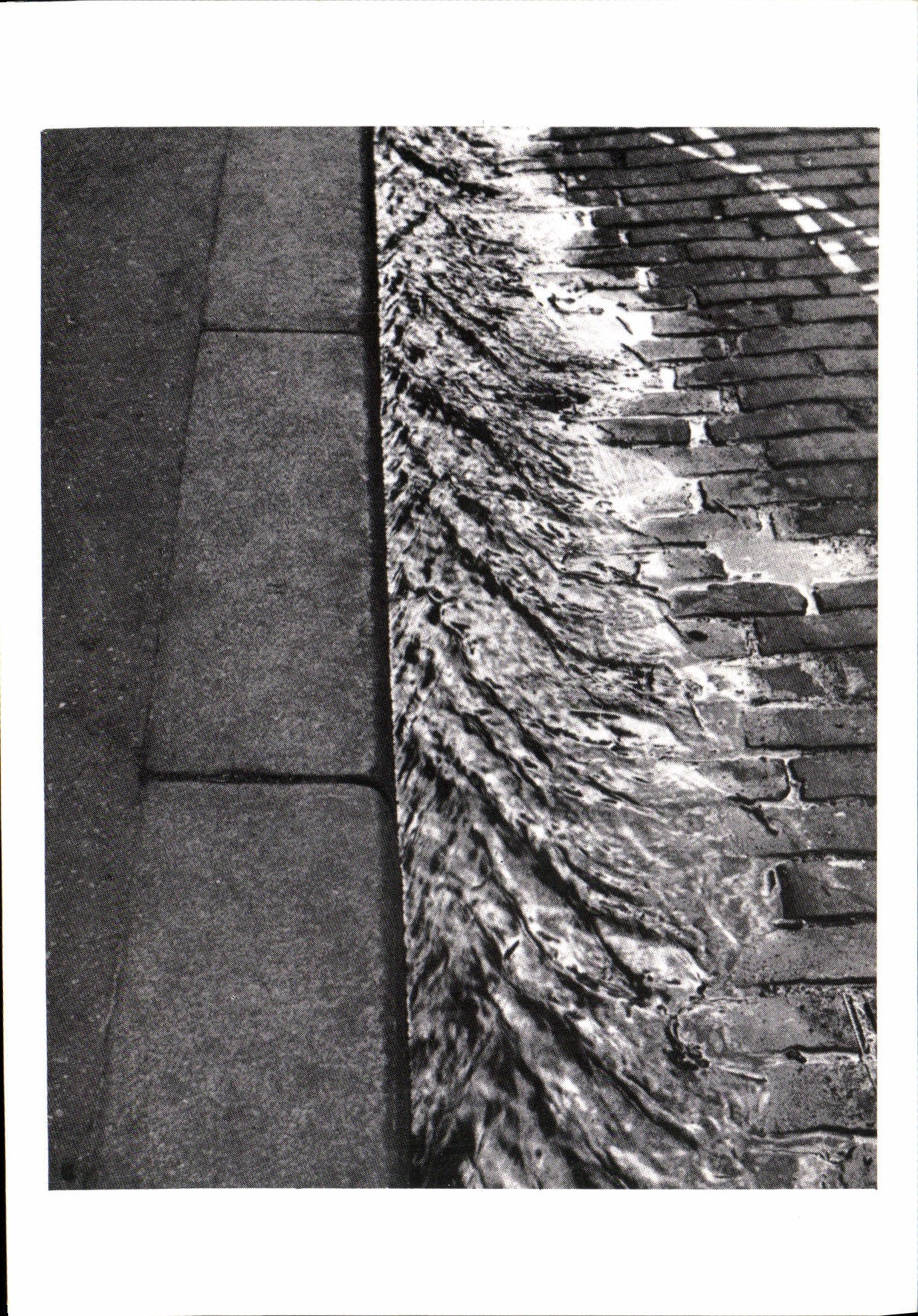 CPM Andre Kertesz Trottoir 1929 Paris