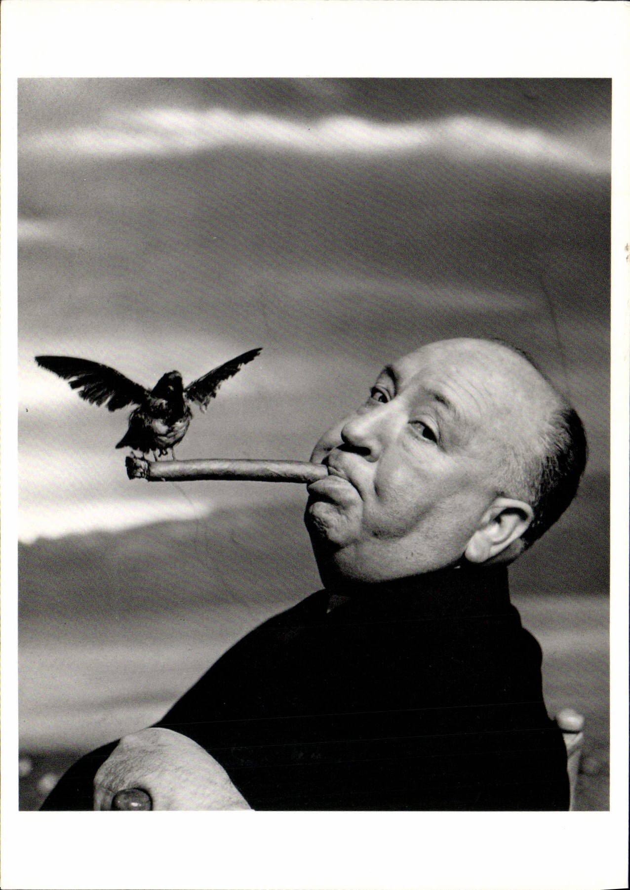 CPM Alfred Hitchcock Cinema Les oiseaux