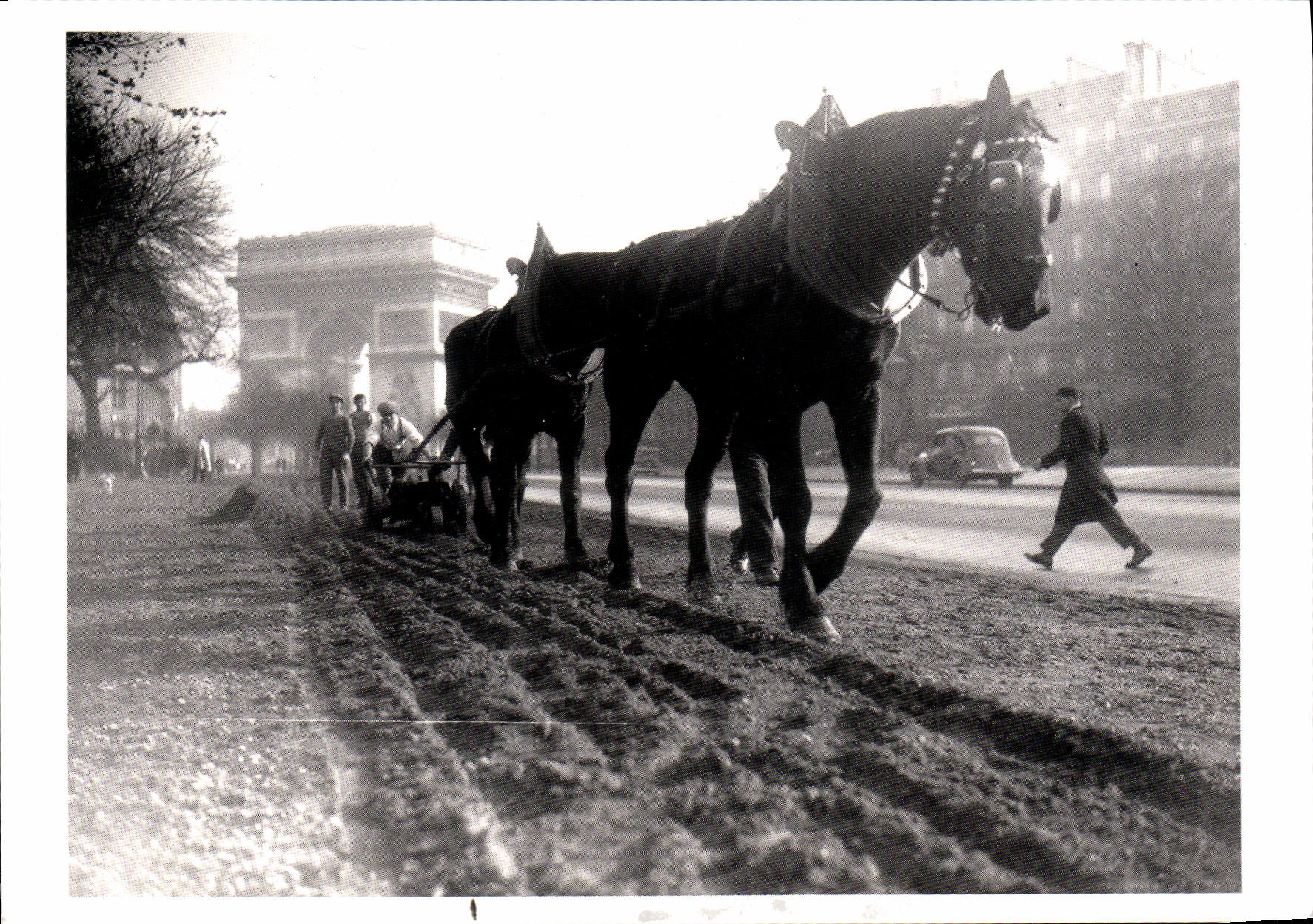 CPM Paris 14 novembre 1933 Labourage Avenue Foch Cheval Charrue