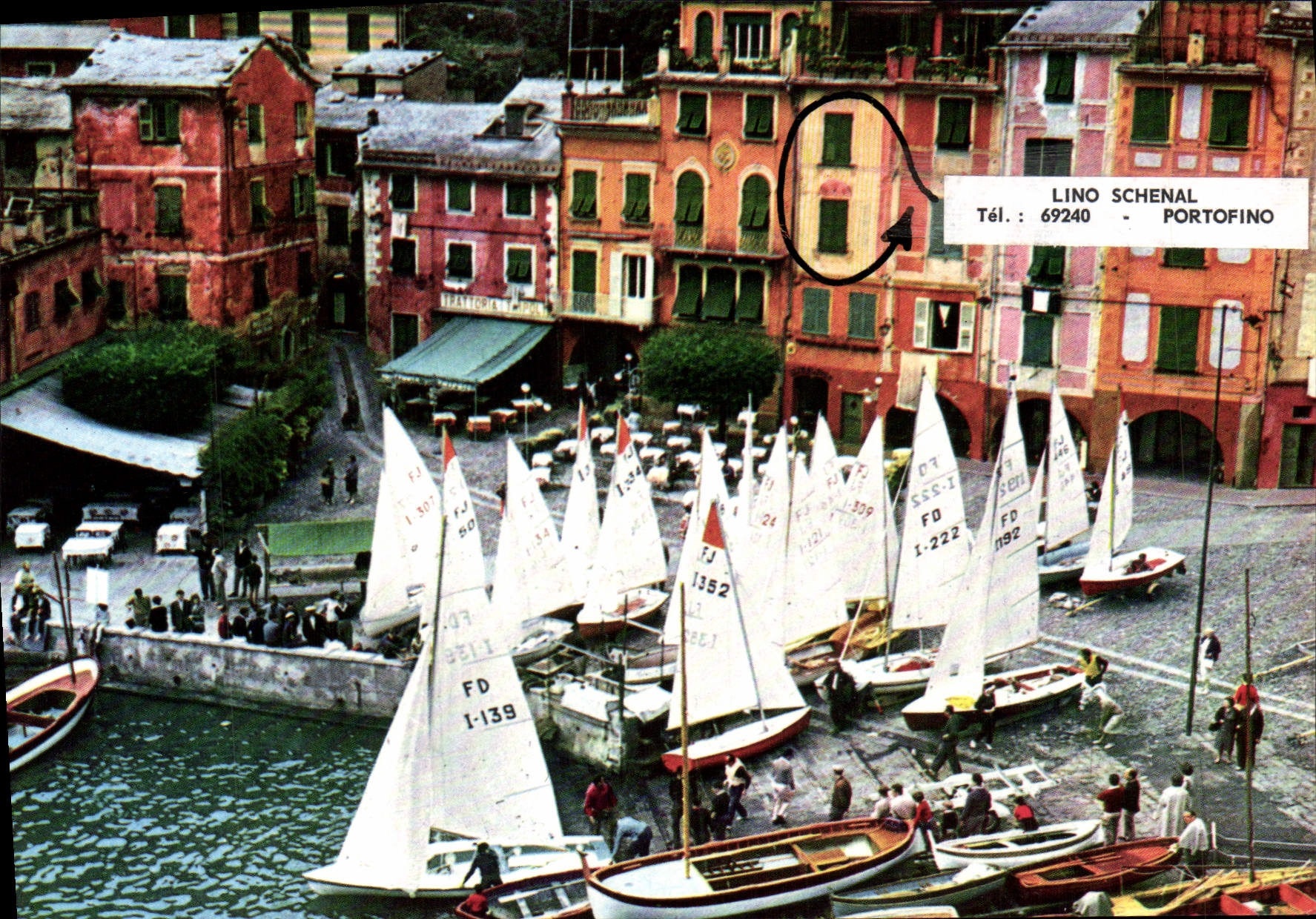 CPM Portofino Regate veliche Bateaux 