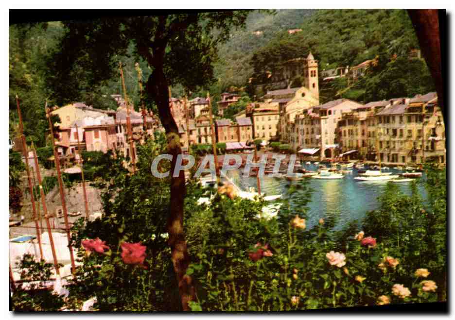 CPM Luci e Colori d'Italia Golfo Tigullo Portofino