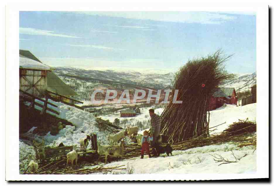 CPM Norge Patri Fra Hemsedal 