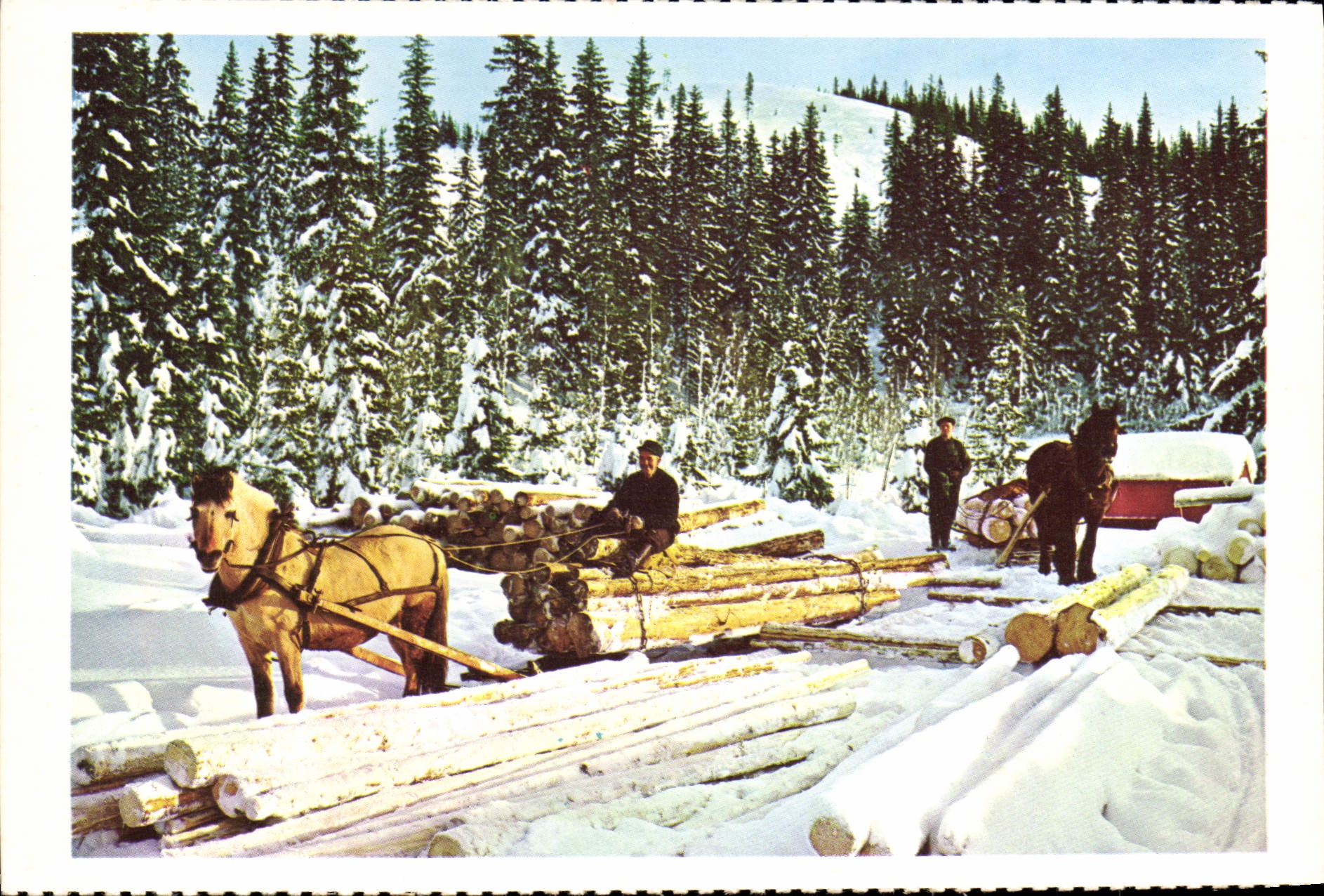 CPM Norge Tommerkjoring 