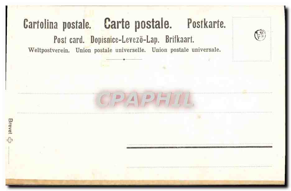 CPA Fleurs sechees Violette Modestie — Verso