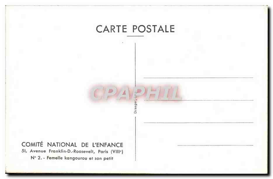 CPM Comite National De L'Enfance Avenue Franklin D Roosevelt Paris Femelle Kangourou Et son Petit Zoo — Rückseite