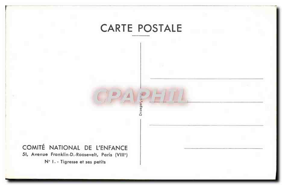 CPM Comite National De L'Enfance Avenue Franklin D Roosevelt Paris Tigresse Et Ses Petits Tigre Zoo — Rückseite