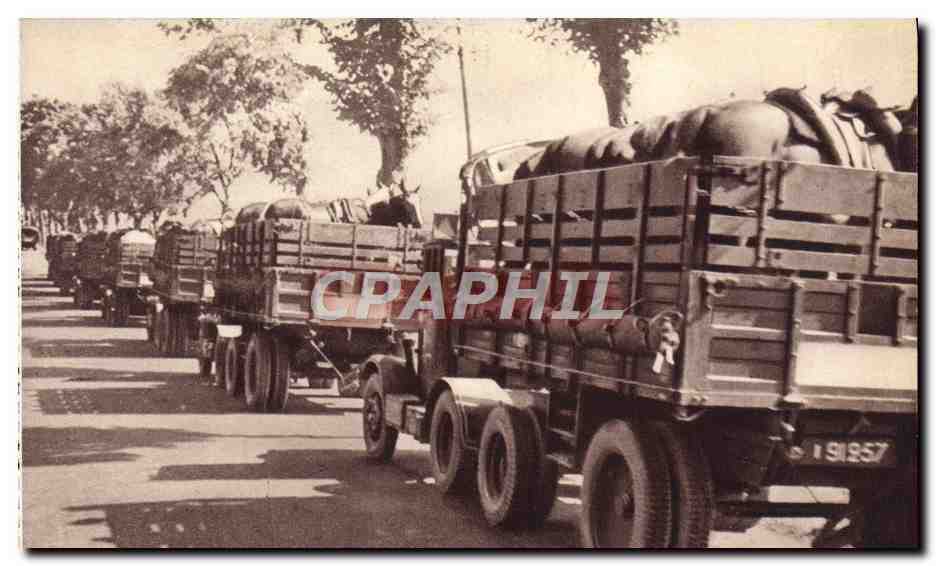 CPA Train Des Equipages Militaires Transport de Chevaux Militaria 