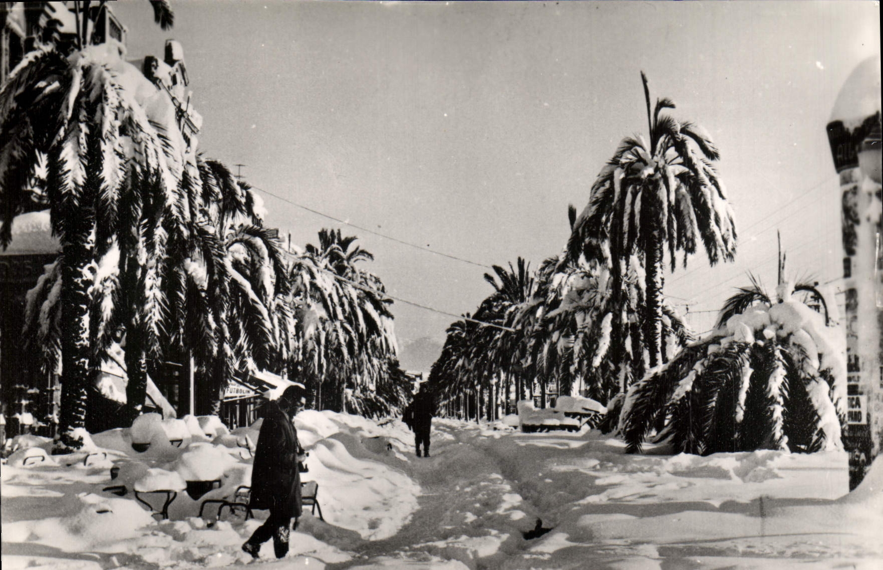 Badalona — Paseo del Caudillo, nevado — Badalona 509