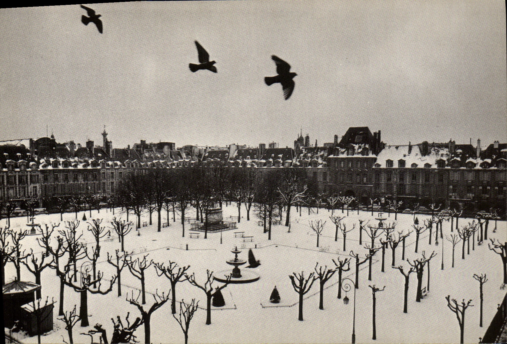 CPM Paris Venezia Place des Vosges Pigeons