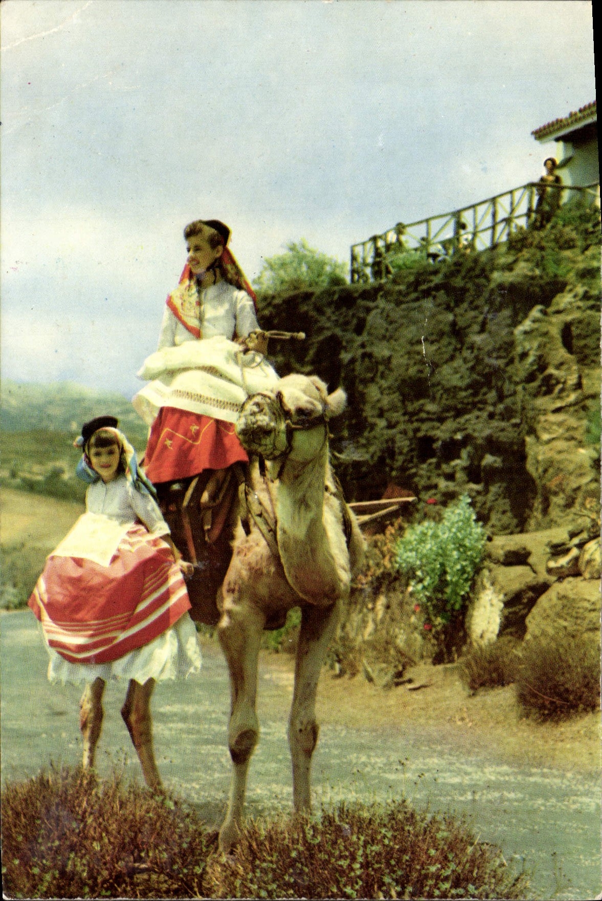 CPM Tafira Gran canaria Mirador de Bandama Chameau Folklore 