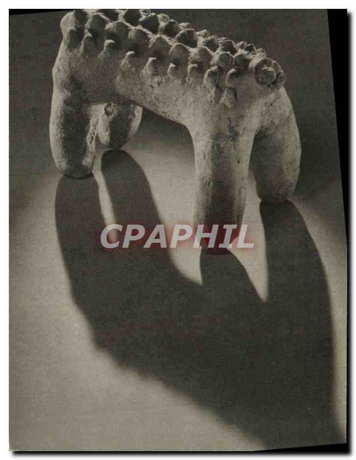 CPA Paris Museum National d'Histoire Naturelle Musee de L'Homme Plaine du Tchad