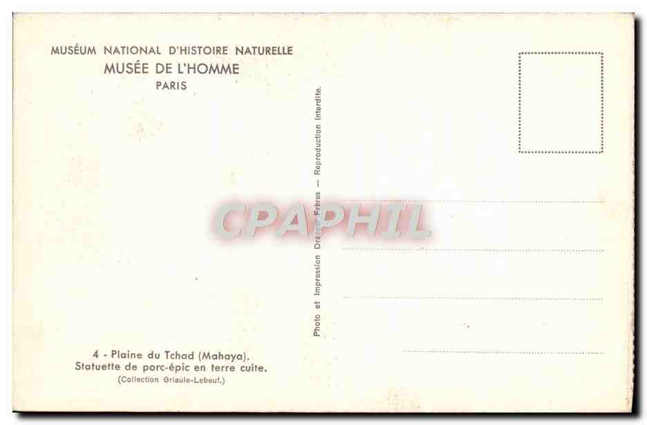 CPA Paris Museum National d'Histoire Naturelle Musee de L'Homme Plaine du Tchad — Rückseite