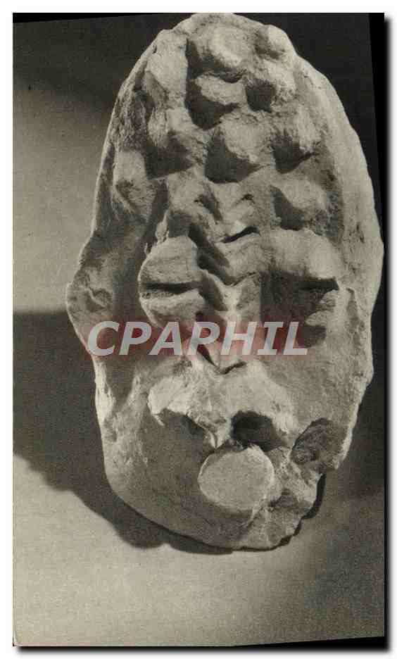 CPA Paris Museum National d'Histoire Naturelle Musee de L'Homme Plaine du Tchad