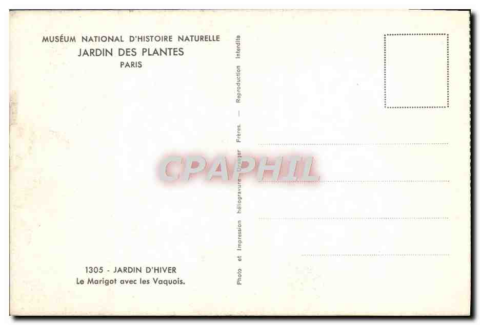 CPA Paris Museum National D'Histoire Naturelle Jardin des Plantes Jardin d'hiver Le Marigot avec les Vaquois — Rückseite
